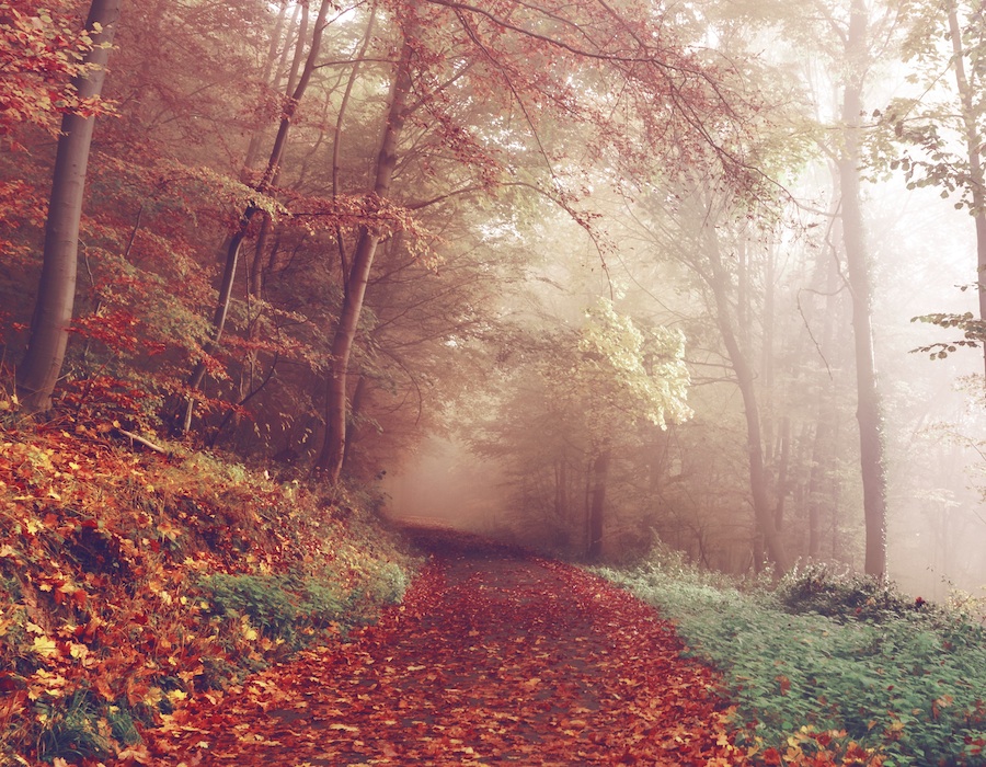 Natalie Spanner offers 6 practical magic tips to help you get through overwhelming times in your life.
