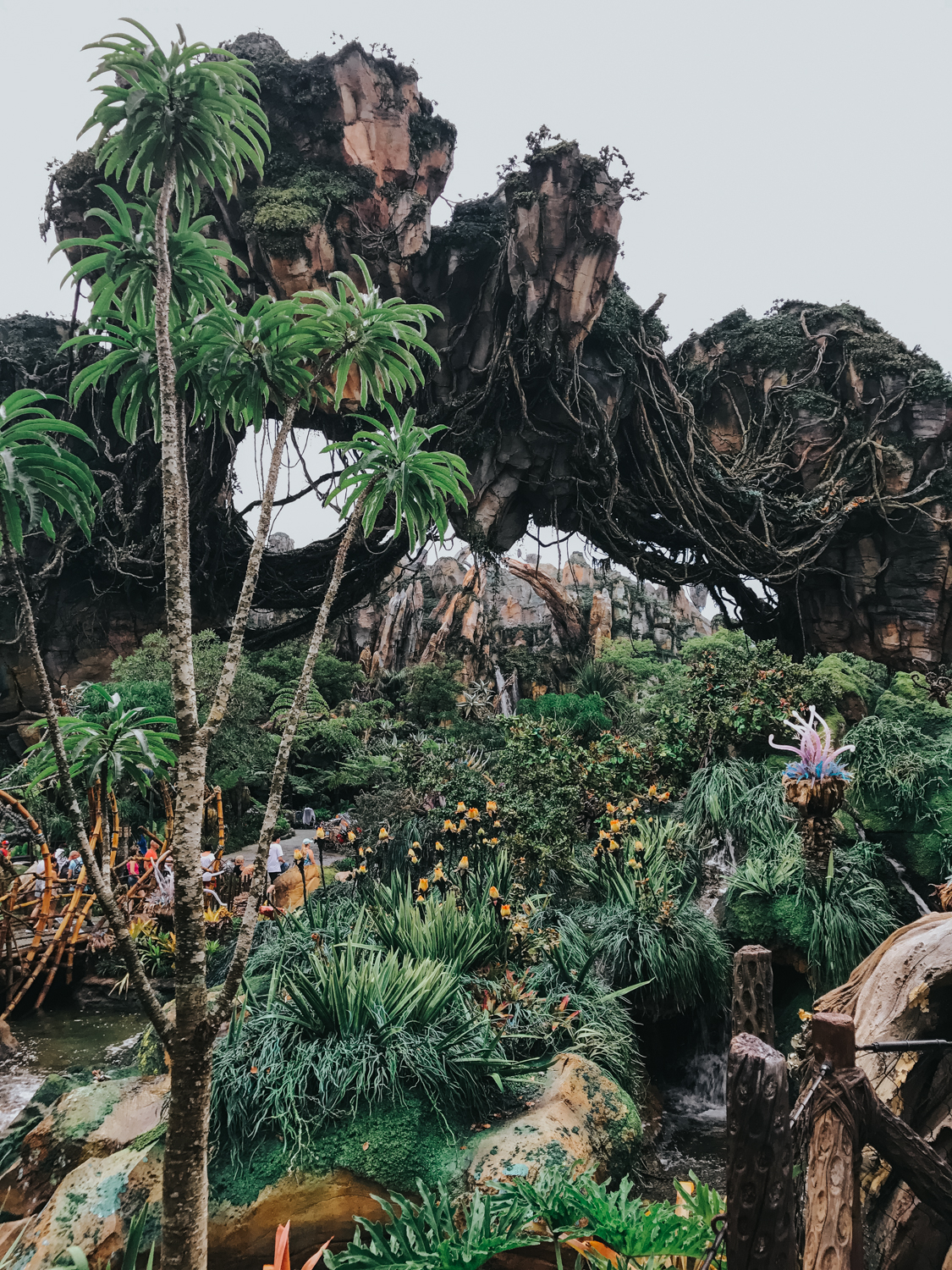 Floating rock inside Disney's Pandora: The World of Avatar