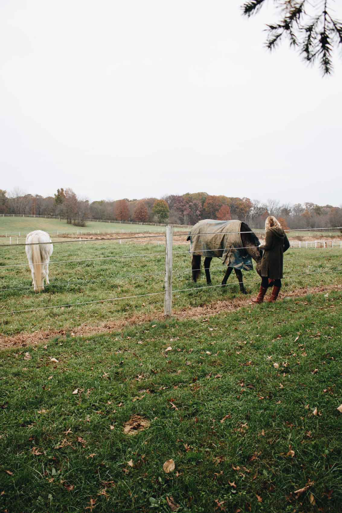 Our review of The Inn at Westwynd Farm - a cozy, romantic bed and breakfast near Hershey, PA featuring breathtaking views, beautiful horses and daily gourmet breakfast.