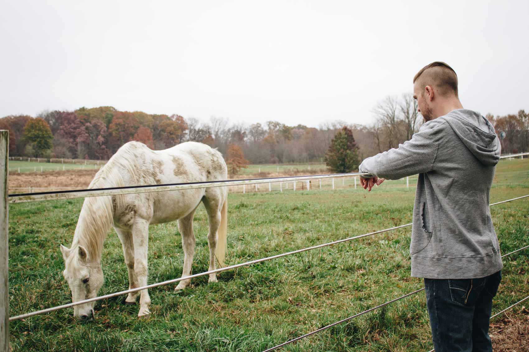 Our review of The Inn at Westwynd Farm - a cozy, romantic bed and breakfast near Hershey, PA featuring breathtaking views, beautiful horses and daily gourmet breakfast.