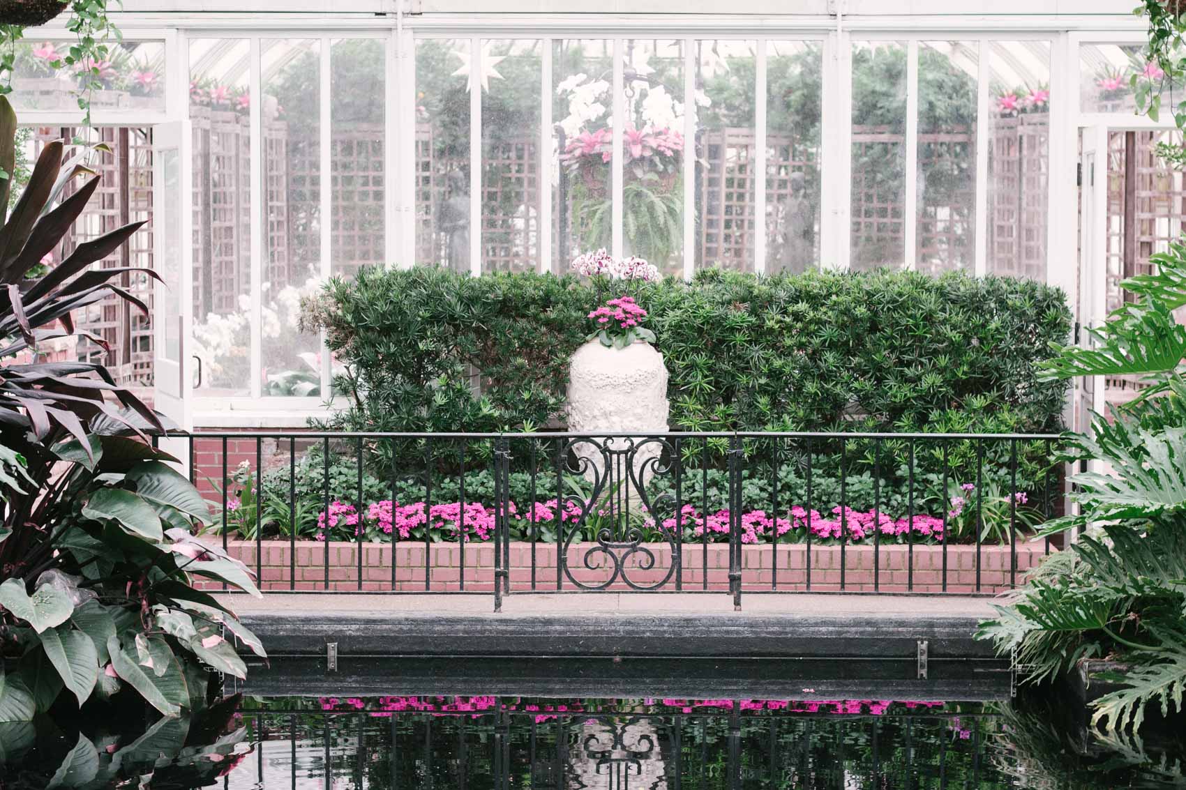 The cravings for the feelings that spring and summer give us are nearly insatiable during the fall and winter months, but we found a delightful sliver of that feeling at Phipps Conservatory and Botanical Gardens! There are no words to do it justice (photos help), so we strongly encourage planning your own visit!