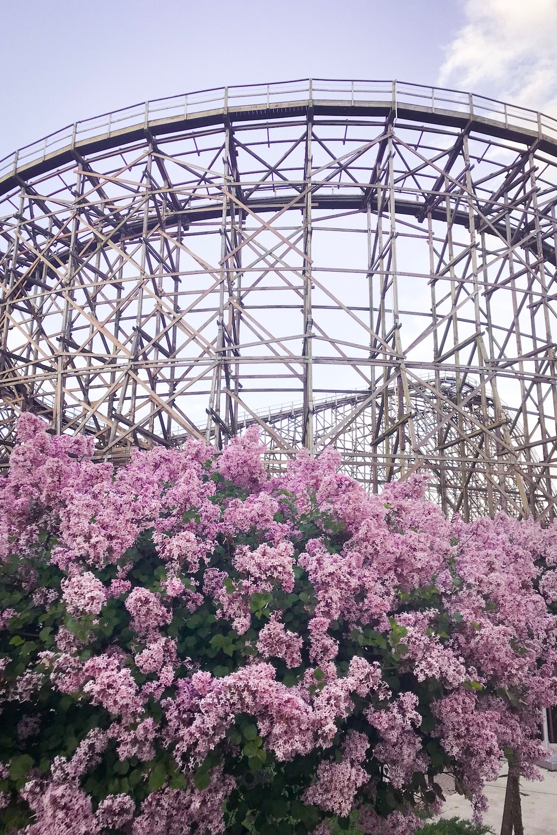You might remember from last week's Sunday Edit that my family and I took a trip to Cedar Point over Memorial Day Weekend and had the best time. It was nice to get away for a few nights to a place where we knew we'd all have fun. Consider escaping to an amusement park near you for a night or two this summer!