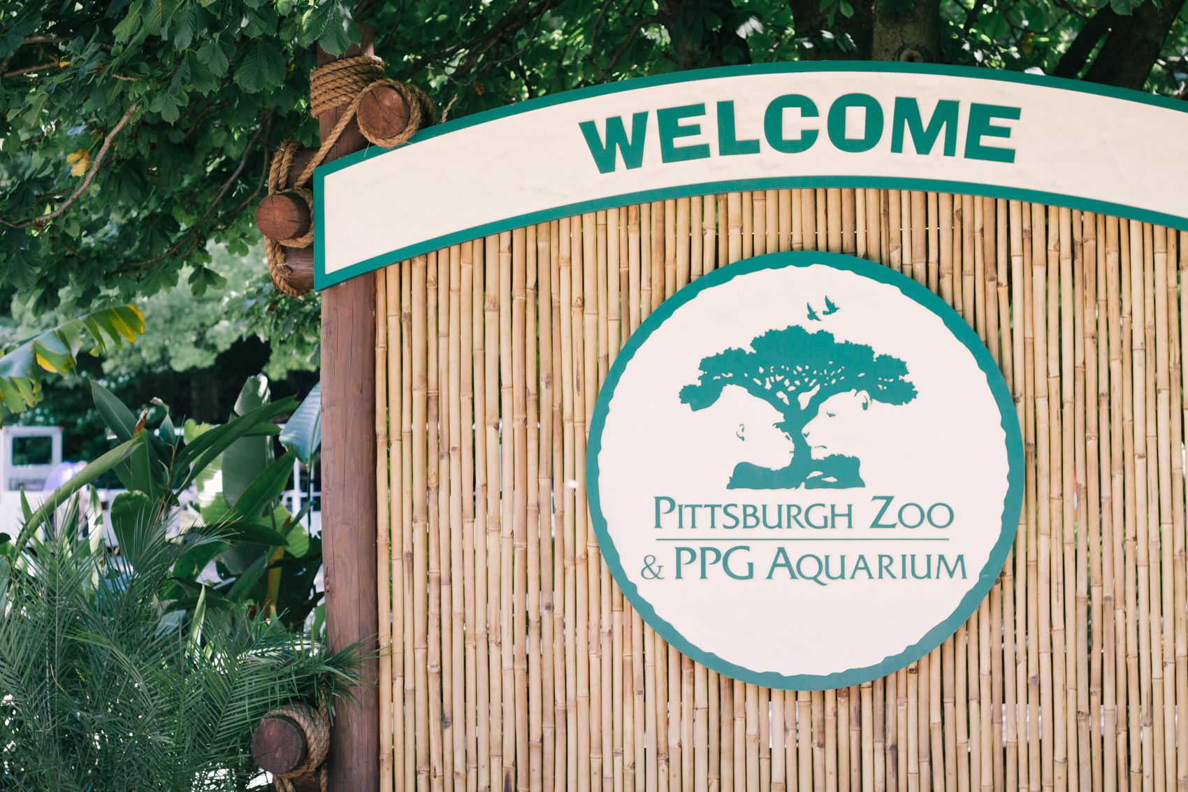 Blogging couple Allyn Lewis and Shaun Novak take you inside their day at the Pittsburgh Zoo, an essnetial summer bucket list item!