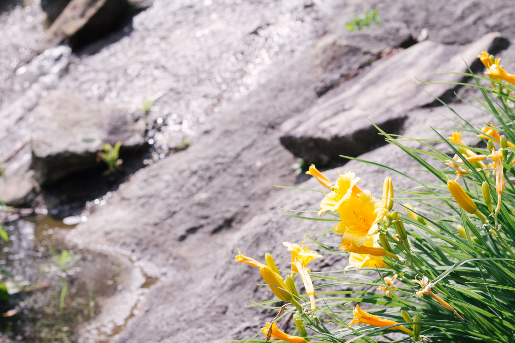 Our untypical Father's Day this year was spent mini golfing at Caddie Shak Pittsburgh, and it turned out to be a fun day surrounded by beautiful scenery.