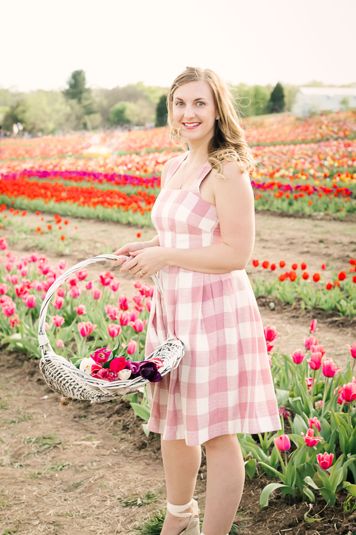 Flower picking in a pink Gal Meets Glam Collection pink gingham dress at Burnside Farms in Nokesville, Virginia | pictures of tulips, castaner wedges, summer dress