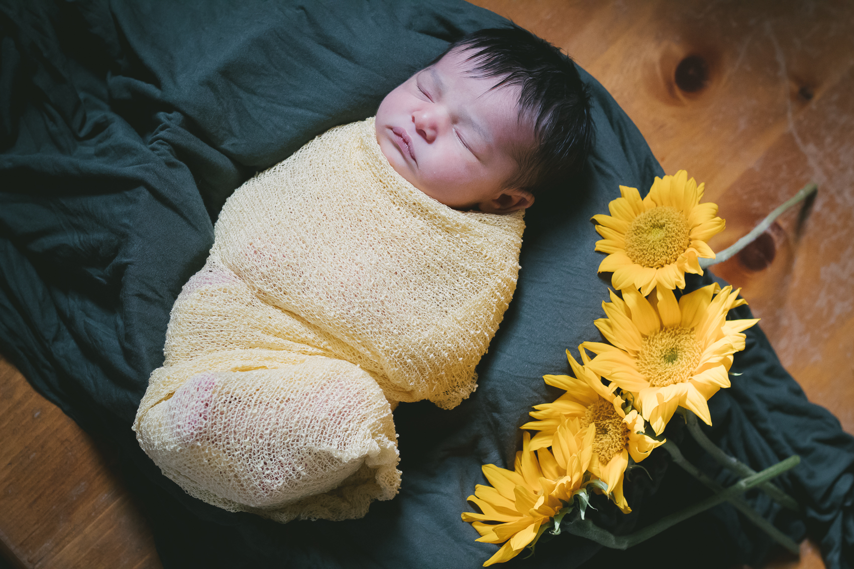 Newborn photography by Pittsburgh photographer, Allyn Lewis