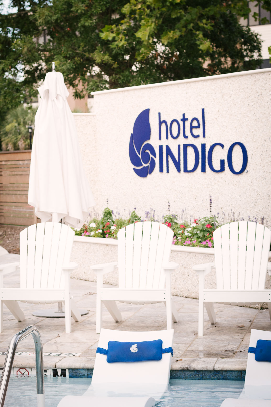 Where to stay in Mount Pleasant, SC: Hotel Indigo - a pet-friendly boutique hotel reflecting the elegant, hip, beachy atmosphere of this sunny oceanfront Charleston suburb. | Travel Blogger Hotel Review