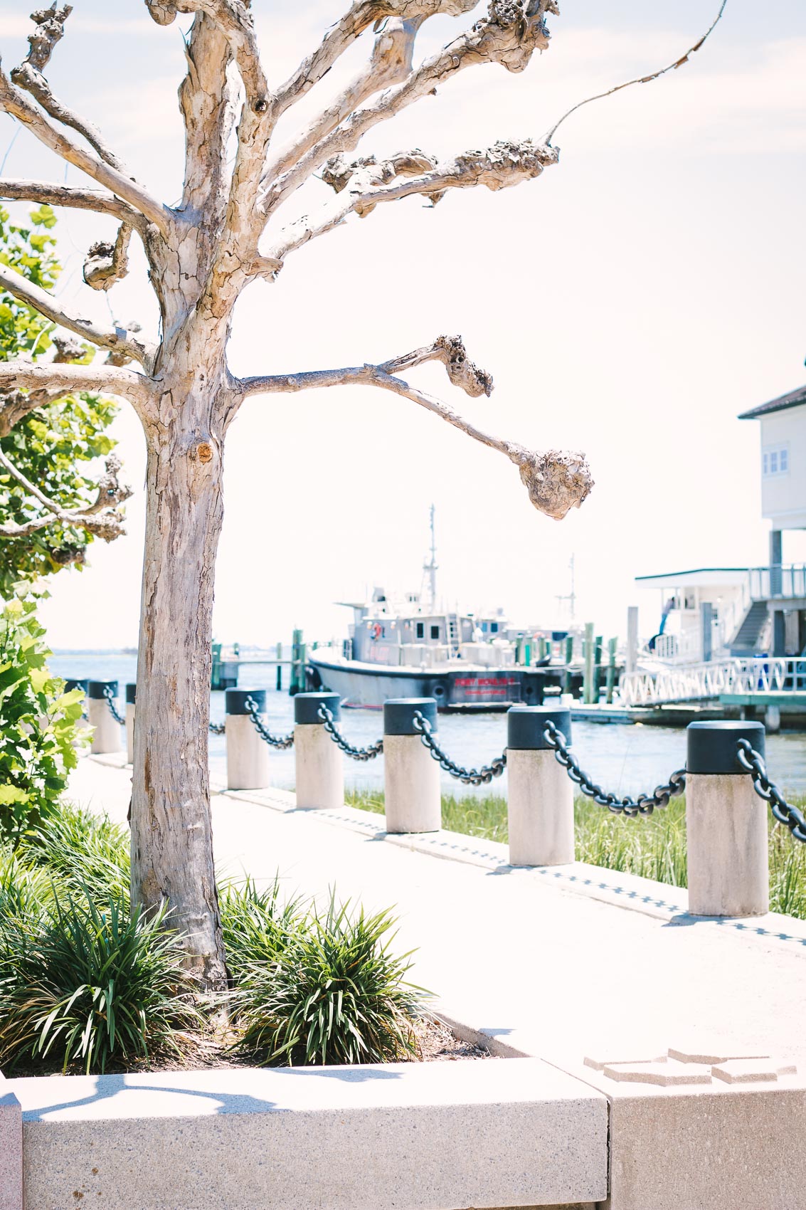 Things to do in Charleston, SC