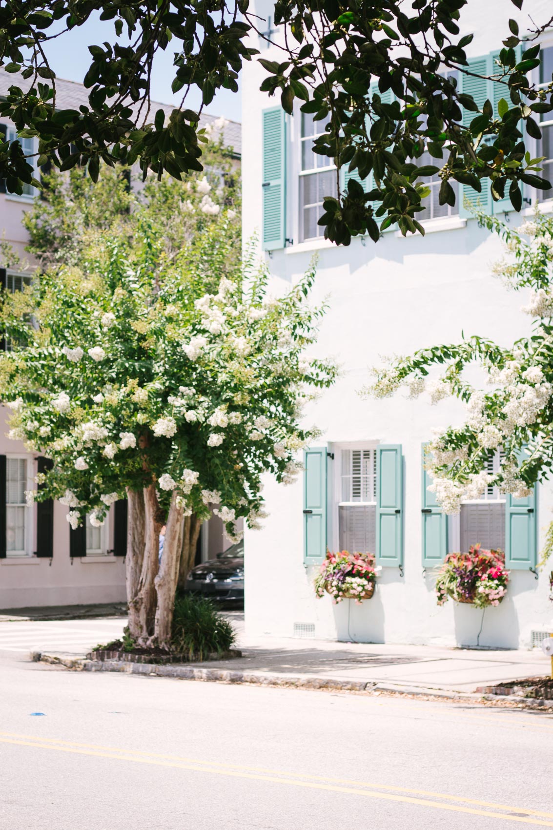 Colorful, pastel homes spotted during a day exploring Charleston, SC