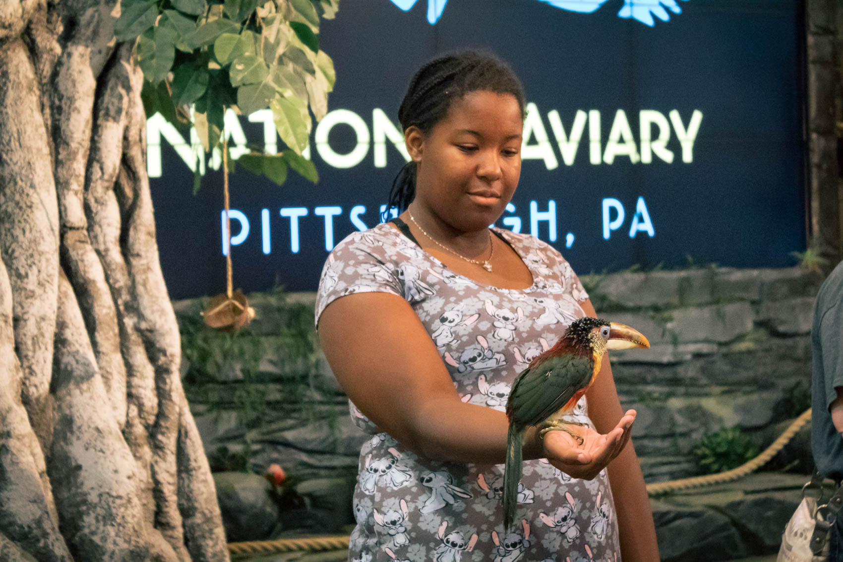 Things to do in Pittsburgh - visit the National Aviary