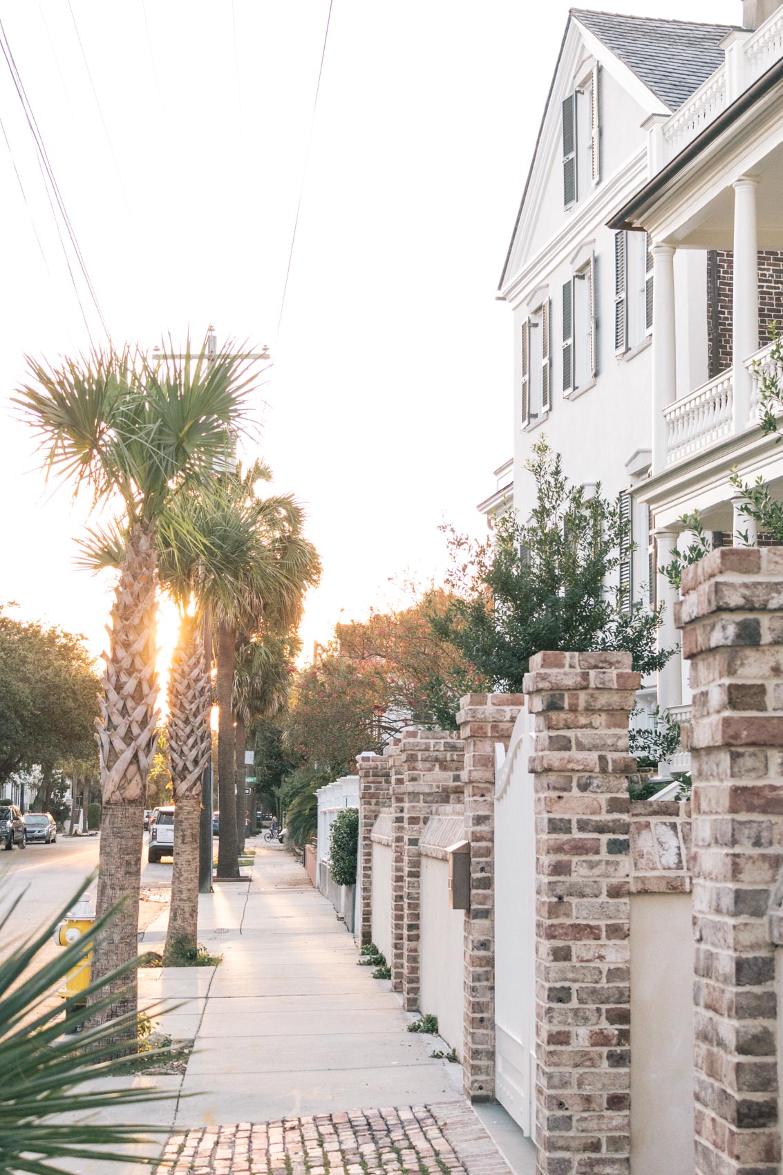 Scenic photo of the streets of Charleston, SC and palm trees taken by Allyn Lewis 