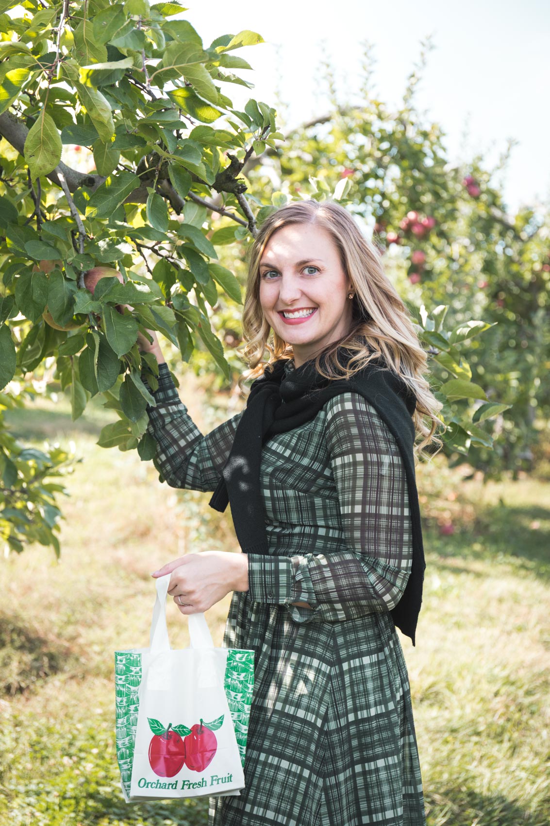 Plaid Blazer Outfit - Allyn Lewis