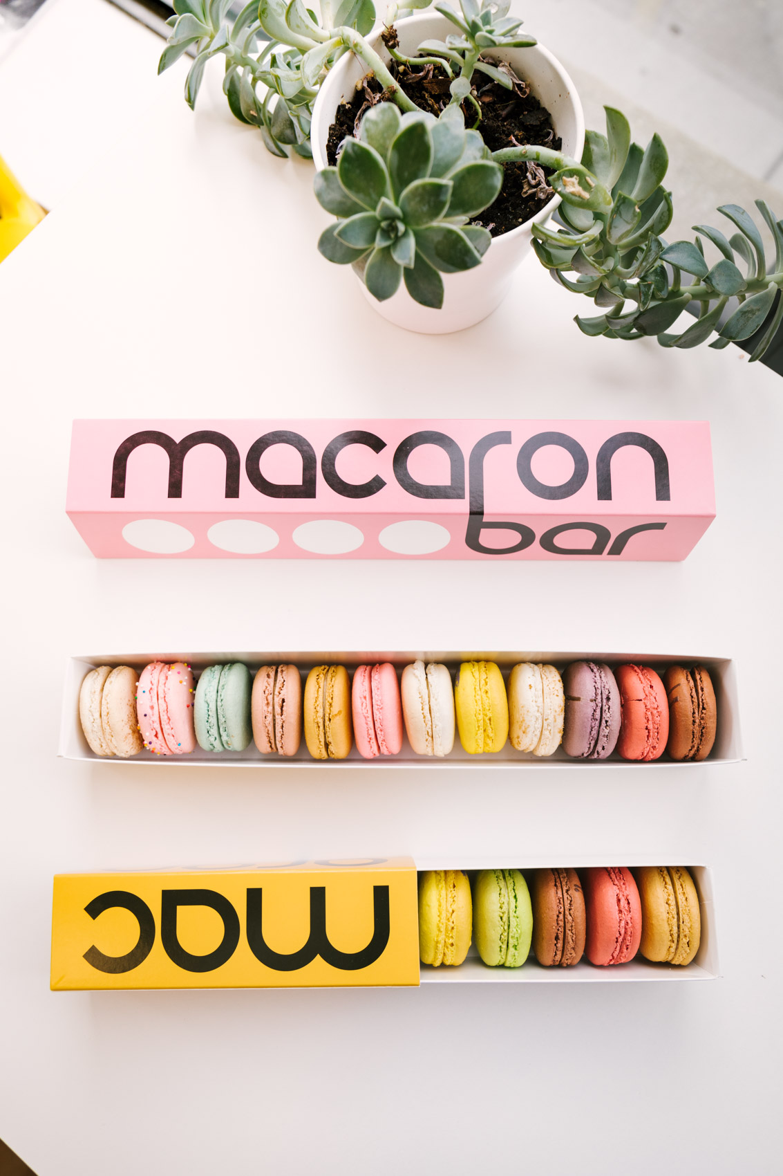 Macaron packaging for photography ideas