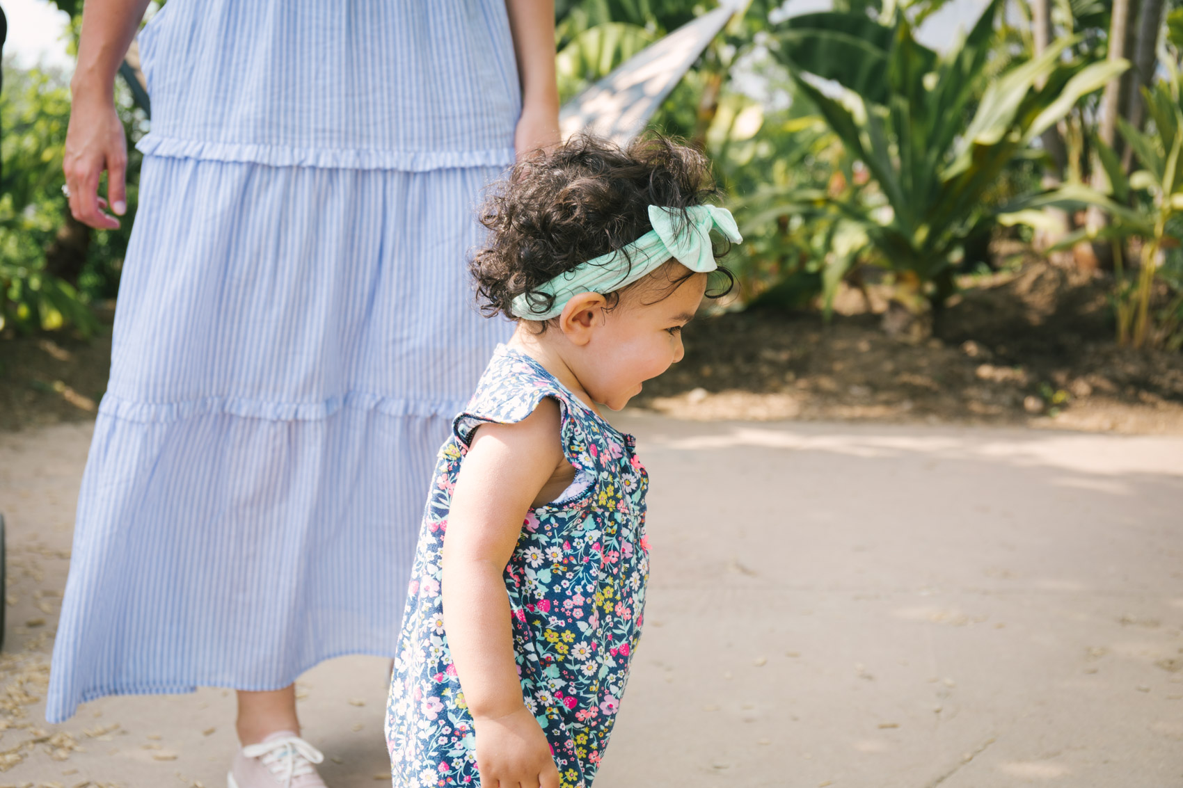 summer outfit featuring the gal meets glam courtney dress