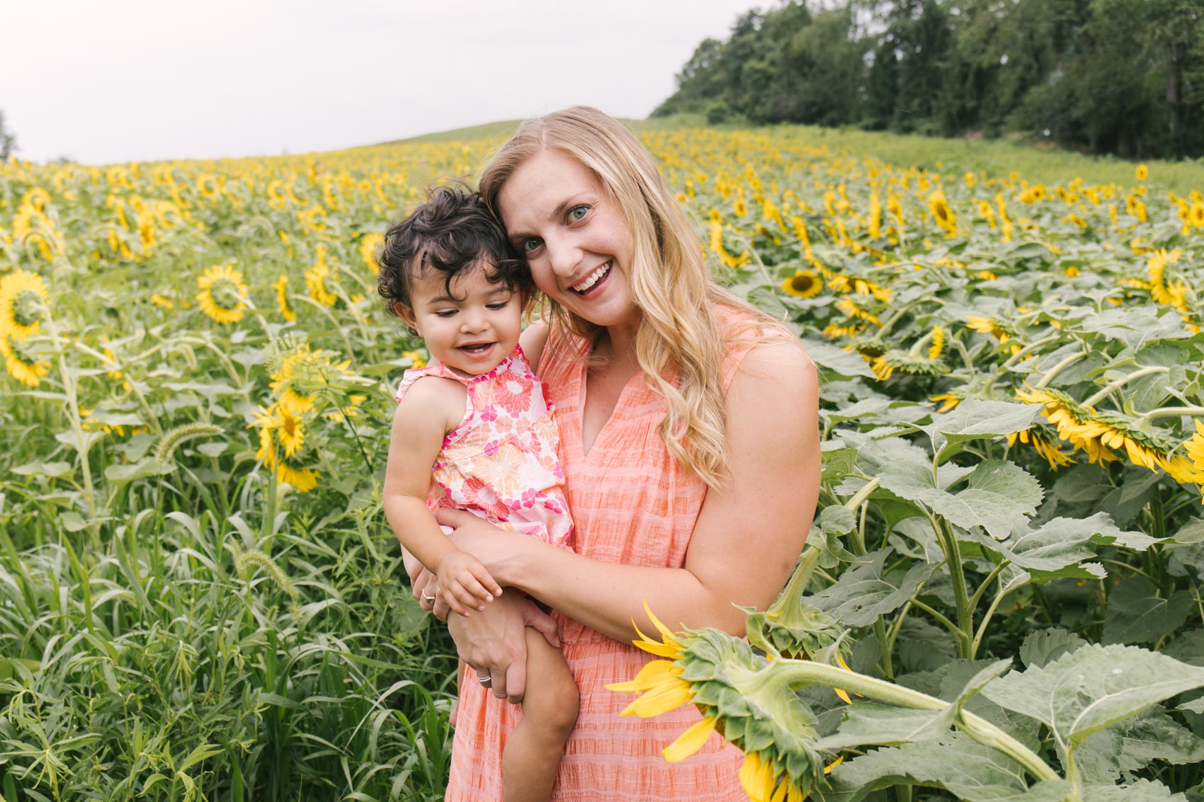 sunflower field photographer