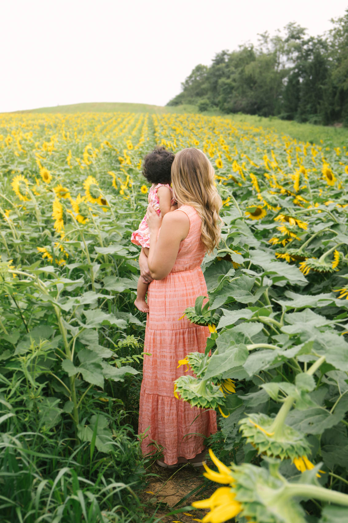 what to wear in sunflower field photos | coral family photo color theme wearing a maxi dress outfit | pose & photography ideas for casual sunflower field pictures