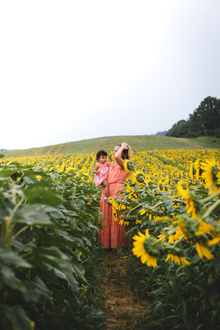 image of sunflower field photoshoot photography ideas for poses, outfits, and aesthetic | what to wear for sunflower field family pictures #sunflowerfield #sunflowerfieldphotoshoot