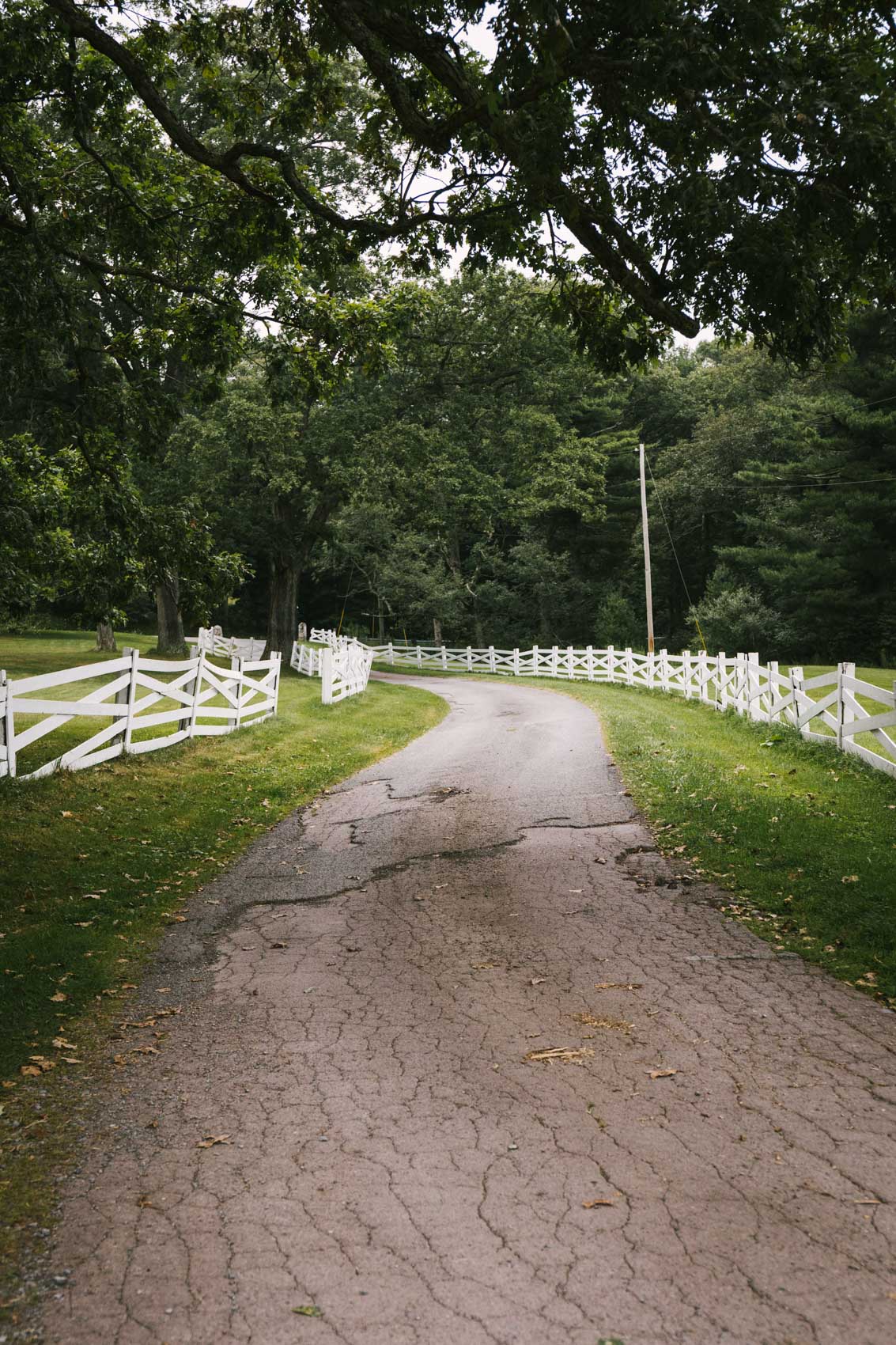 A scenic view of the driveway at the Red Barn Inn | The best place to stay in Deep Creek Lake, Maryland | Deep Creek Lake lodging 