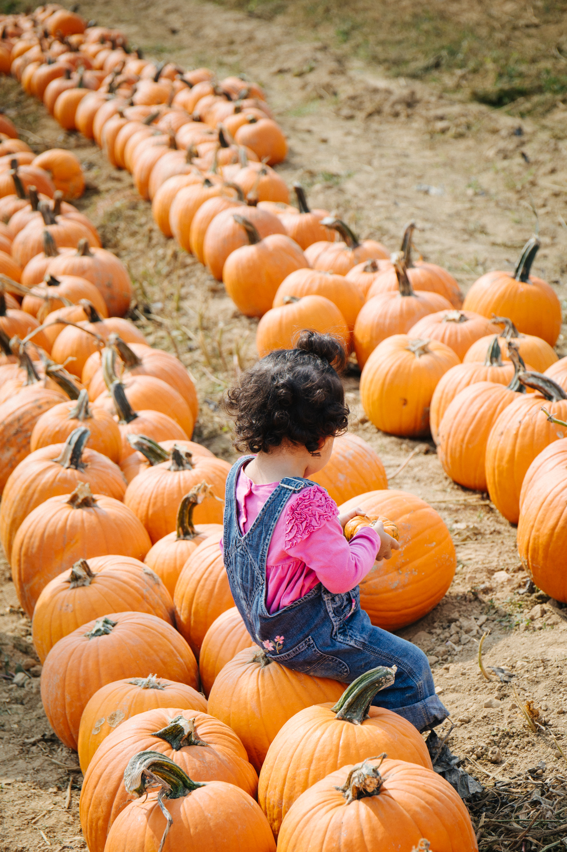 kids overalls outfit pumpkin patch photoshoot