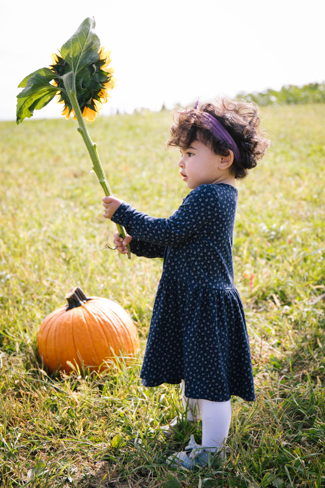 fall family photos