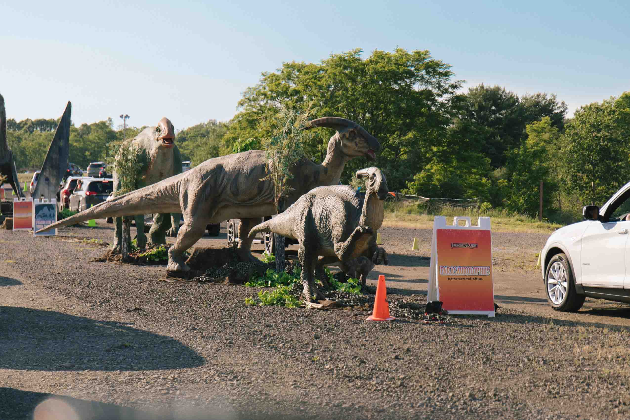 Animatronic dinosaurs at Jurassic Quest
