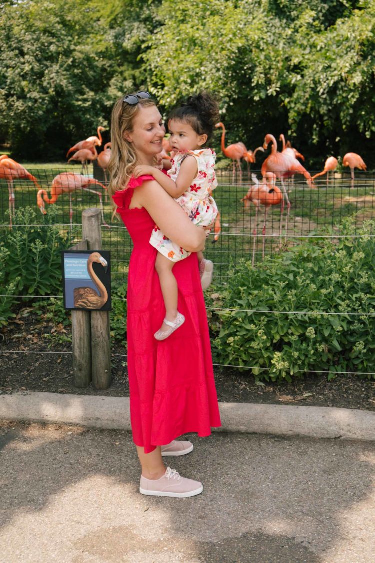 Woman standing in front of flamingos at the zoo wearing a red midi dress while holding a toddler