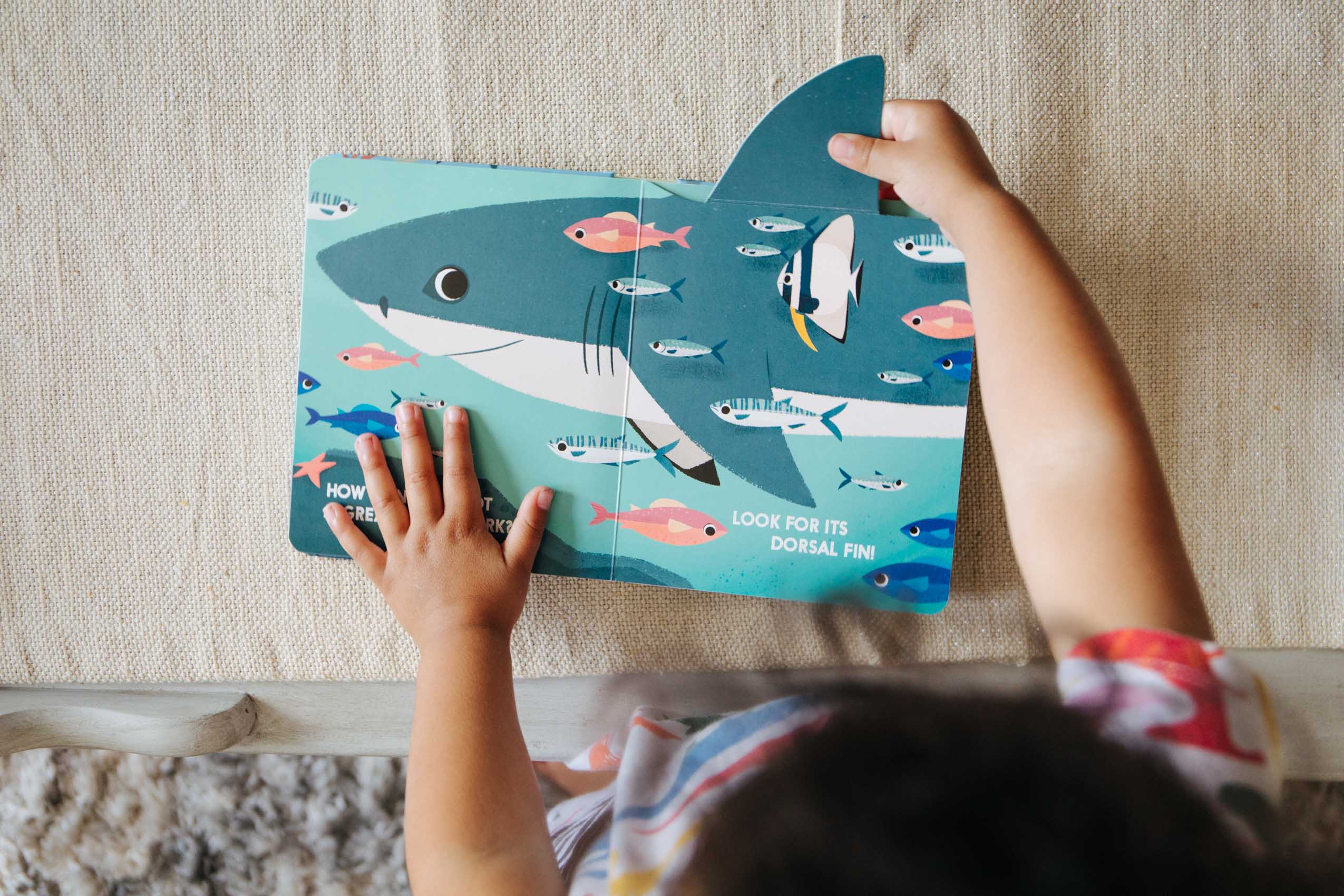 Sharkblock flip book for toddlers available on Amazon